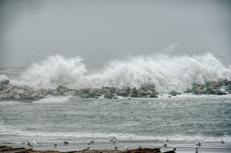 A Rising Tide Rises The Rising Tide | Harvard University Center for the Environment
