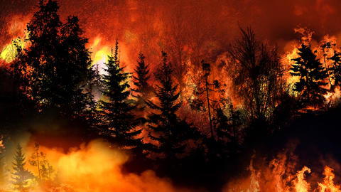 istock-1333314611.jpg