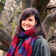 fellow jemma deer.